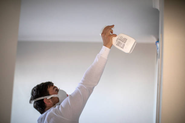 Best Emergency Mold Removal  in Hanover, MN