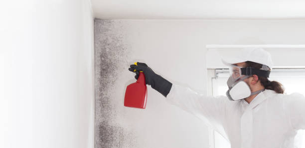 Best Mold Testing  in Hanover, MN